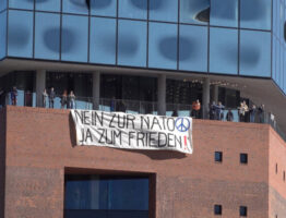 Aufruf: Demo Nein zu Red Storm Bravo – Ja zur zivilen Entfaltung! (27. September)