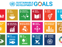 Nachhaltige Wissenschaft ausﬁnanzieren! Einladung zum Interessiertentreffen (12. Januar)